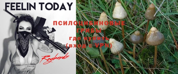 эйфоретик Киреевск