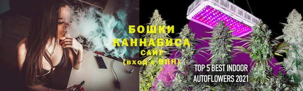 кокс Кинешма